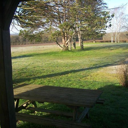 Gite En Forterre Druyes-les-Belles-Fontaines المظهر الخارجي الصورة